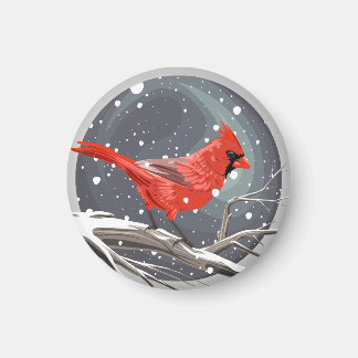 Íman Cardinal de Inverno