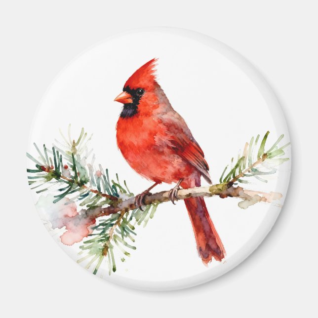 Íman Cardinal em um Ramo de Abeto (Frente)