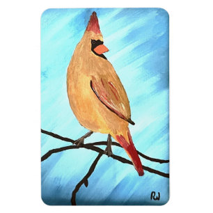 Íman Cardinal feminino