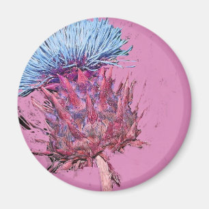 Íman cardo cor-de-rosa