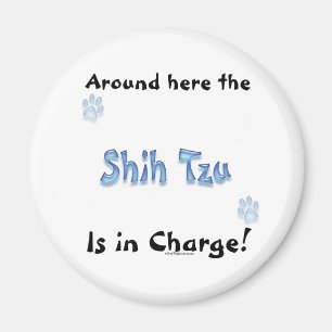 Íman Carga de Shih Tzu - ímã