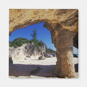 Íman Caribe, Bermudas, Tucker's Town. Natural