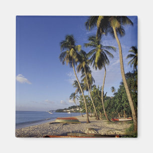 Íman CARIBE, Granada, Rua, George, boates na palma