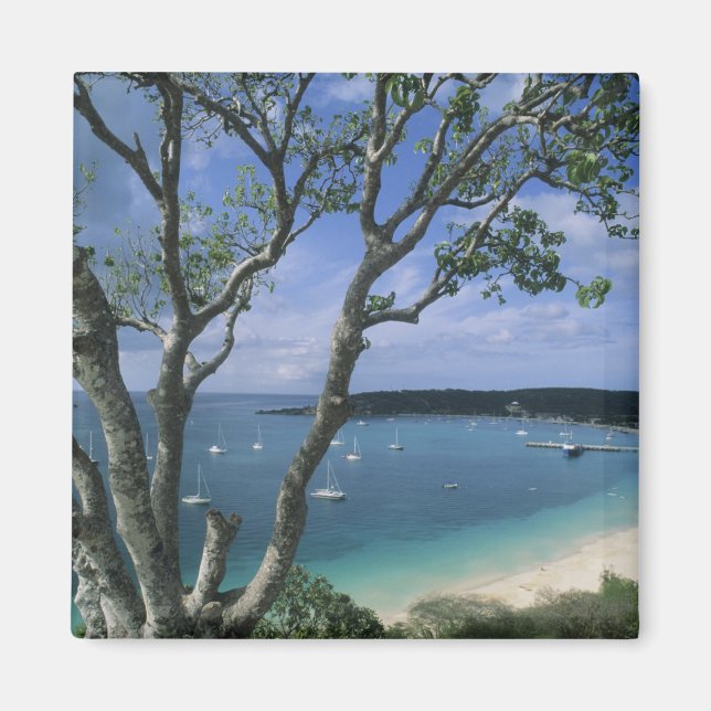 Íman Caribe, Ilha de Anguilla, Porto da Baía da Estrada (Frente)