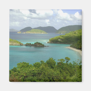 Íman Caribe, Ilhas Virgens Americanas, St. John, Tronco