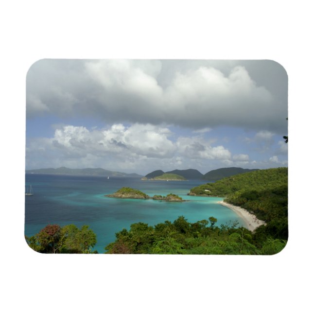 Íman Caribe, Ilhas Virgens Americanas, St. John, Tronco (Horizontal)