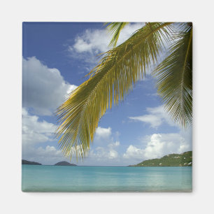 Íman Caribe, Ilhas Virgens Americanas, St.Thomas,