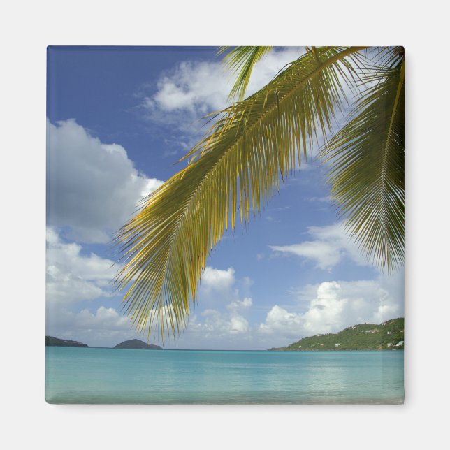 Íman Caribe, Ilhas Virgens Americanas, St.Thomas, (Frente)