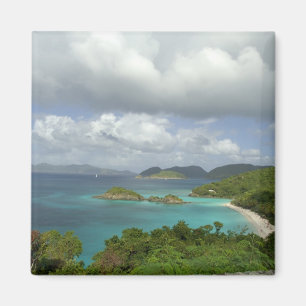 Íman Caribe, Ilhas Virgens dos EUA, St. John, Tronco 3