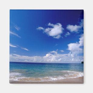 Íman Caribe, Menos Antilhas, Índias Ocidentais,