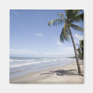 Íman Caribe - Trinidad - Praia Manzanilla em 2