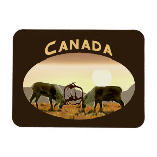 Íman Cariou Duel - Canadá