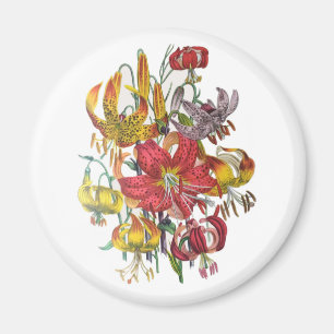Íman Carnaval de flores