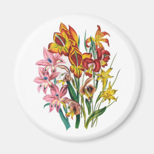 Íman Carnaval de flores