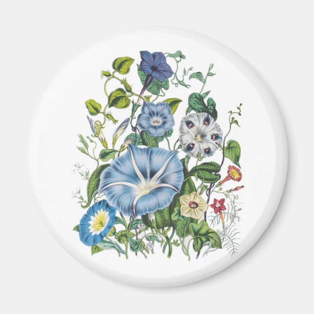 Íman Carnaval de flores (Frente)