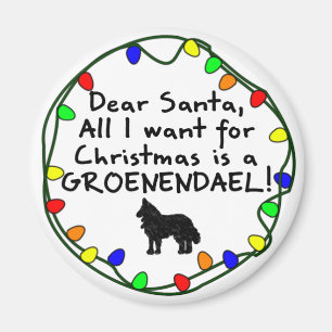 Íman Caro Papai noel Groenendael