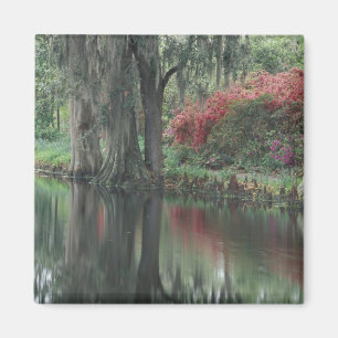 Íman Carolina do Sul, Charleston