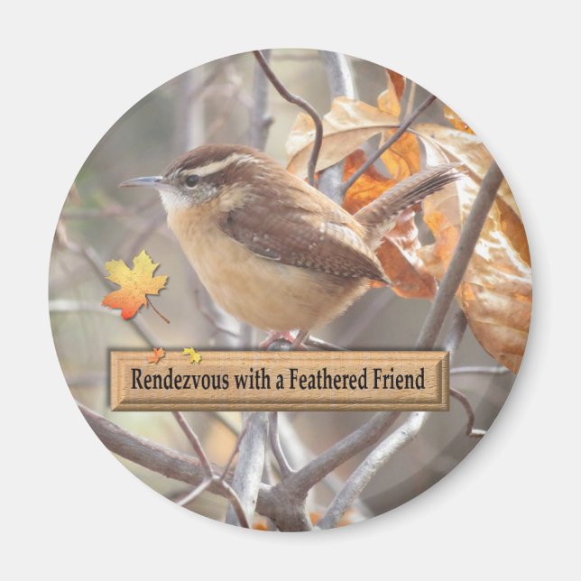 Íman Carolina Wren Birding Magnet. (Frente)