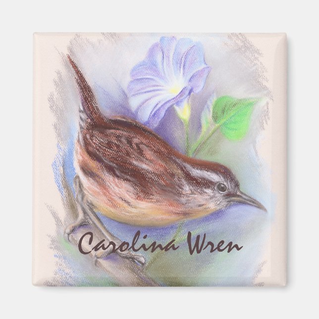 Íman Carolina Wren com Flores da Glória da Manhã (Frente)