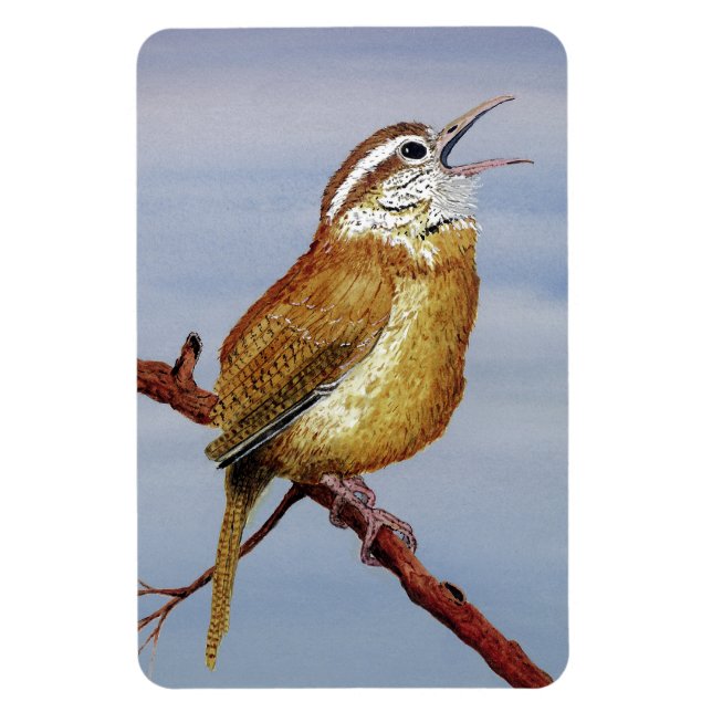 Íman Carolina Wren Magnet (Vertical)