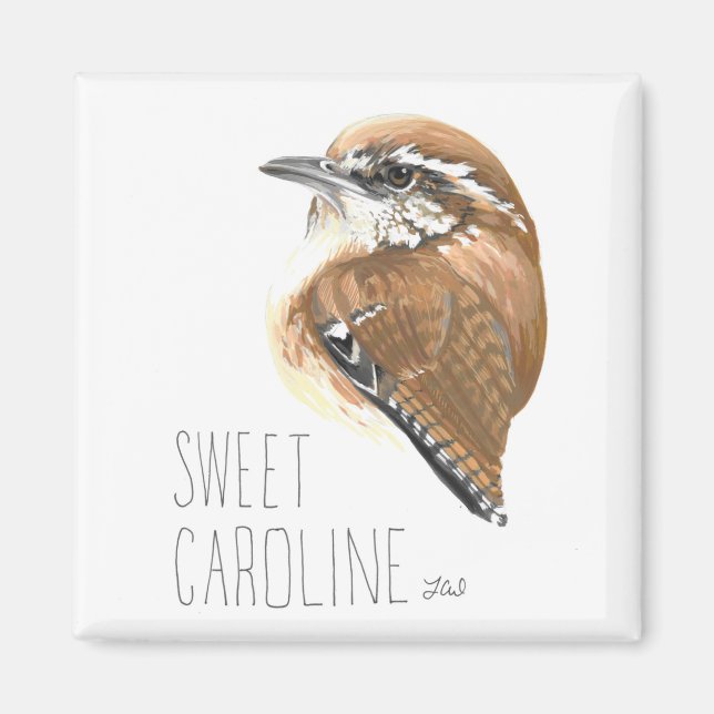 Íman Caroline (Carolina Wren) (Frente)