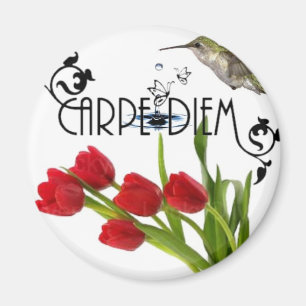Íman carpe diem