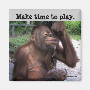 Íman Carpe Diem Cute Willife