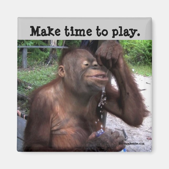 Íman Carpe Diem Cute Willife (Frente)