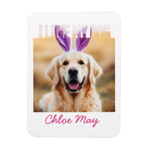 Íman Carregar o Nome de Foto de Pet Personalizado que A