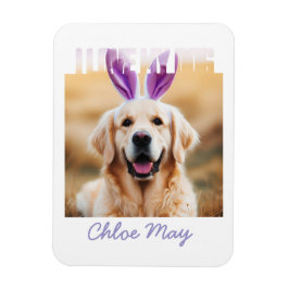 Íman Carregar o Nome de Foto de Pet Personalizado que A