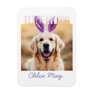 Íman Carregar o Nome de Foto de Pet Personalizado que A