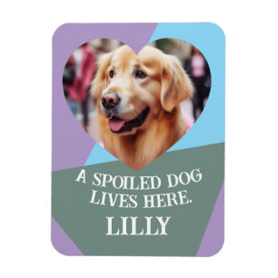 Íman Carregar o Nome e a Foto da Pet de Coração Persona