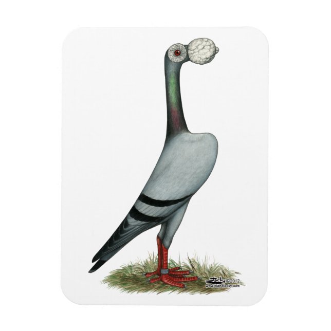 Íman Carrier Pigeon 2012 (Vertical)