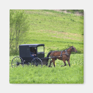 Íman Carroça e cavalo Amish perto de Berlim, Ohio.