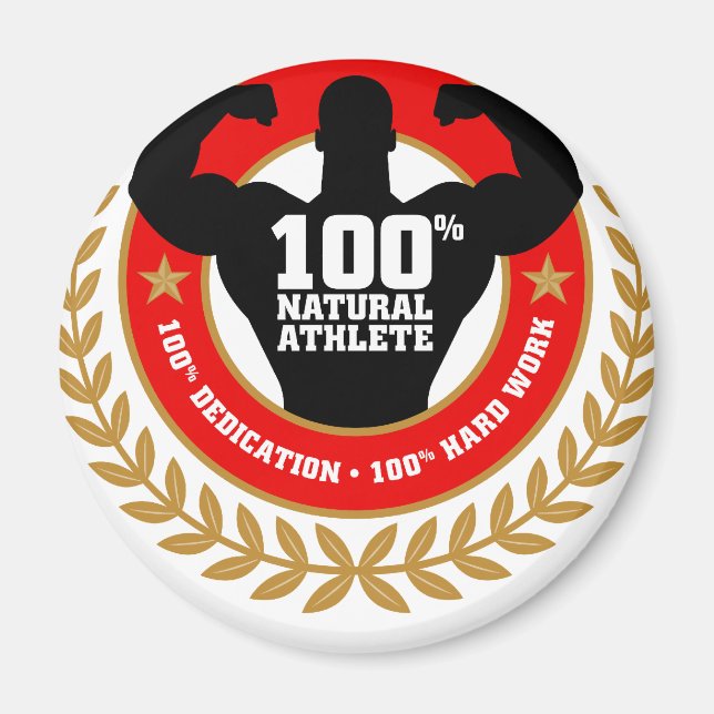 Íman carroçaria.png (Frente)