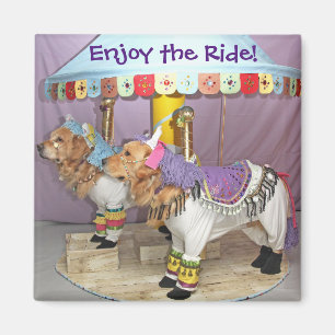 Íman Carrossel do golden retriever