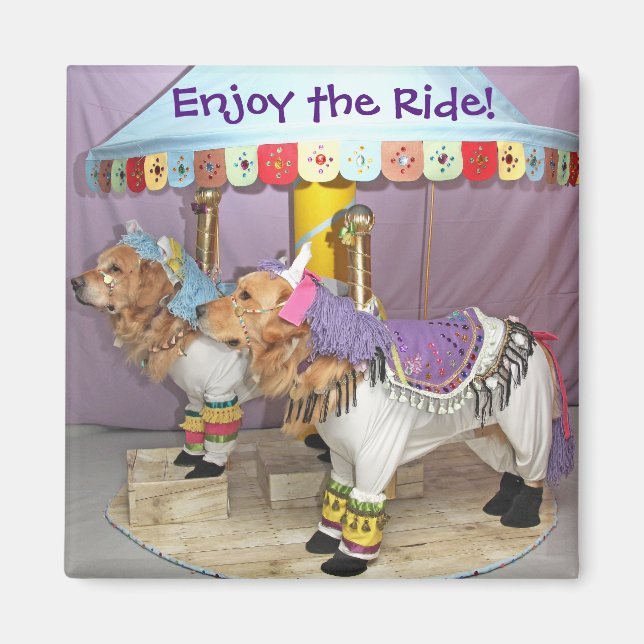 Íman Carrossel do ouro Retriever (Frente)