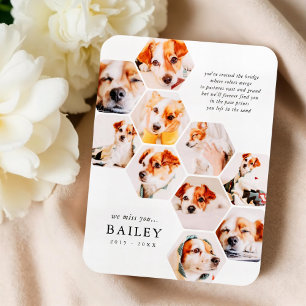 Íman Cartão de Colagem de Foto Simples Pet Memorial Mod