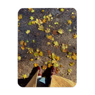 Íman Cartão de saudação de queda de Chicago