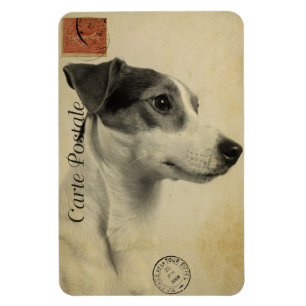 Íman Cartão Postal Antigo Jack Russell