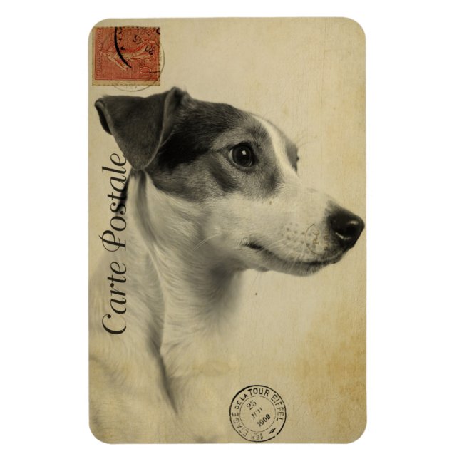 Íman Cartão Postal Antigo Jack Russell (Vertical)