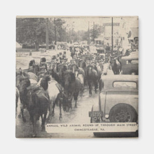 Íman Cartão-postal Chincoteague Pony Vintage 1941