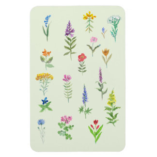 Íman cartão postal de flores de jardim