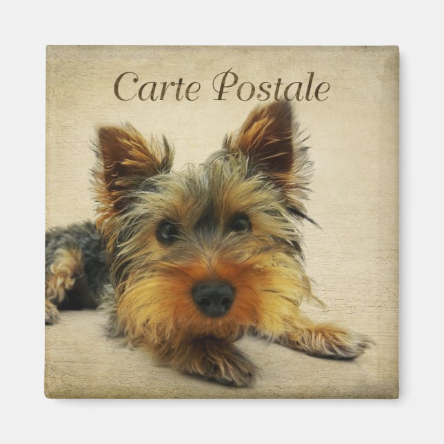 Íman Cartão postal de Yorkshire Vintage (Frente)