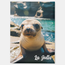 Cartão Postal do Bebê Lobo-Marinho La Jolla Califó