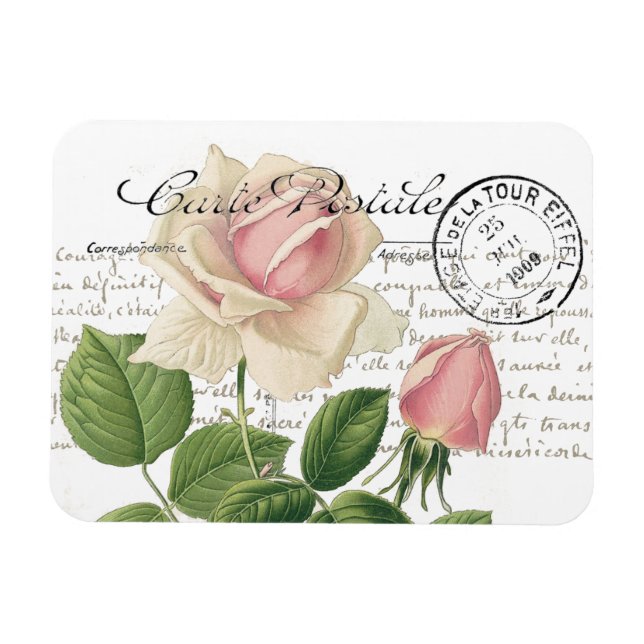 Íman Carte Postale Pink Rose French Script Vintage (Horizontal)