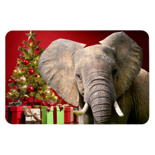 Íman Cartões de natal elefantes