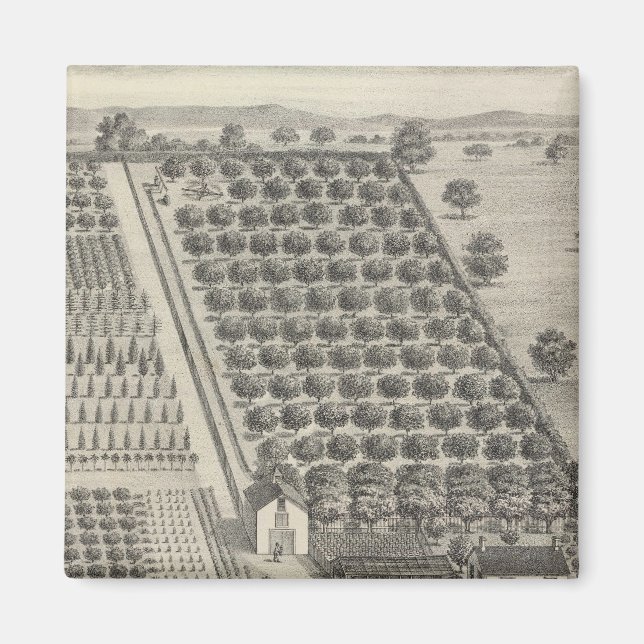 Íman Cartões, Woodland (Frente)