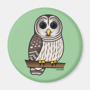 Íman Cartoon Barred Owl