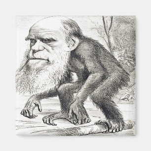 Íman Cartoon Editorial De Charles Darwin 1871